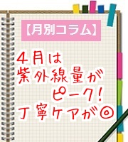 今月のおすすめスキンケア